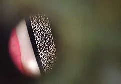 O encanador putaria full hd com o grande clube e duas meninas bonitas
