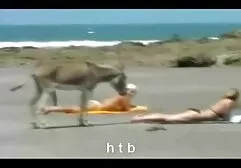 Menina xvideos putinhas espuma pau no banheiro